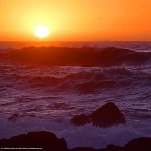 Meet your Posher, Marla